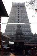 Thiruvannamalai temple rajagopuram 3