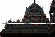 Tiruvannamalai arunachaleswarar temple photo 7