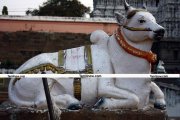 Tiruvannamalai temple 2