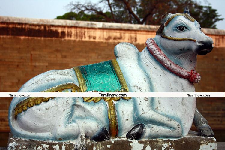 Tiruvannamalai temple 3