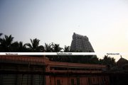 Tiruvannamalai temple photo 13