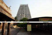 Tiruvannamalai temple photo 18