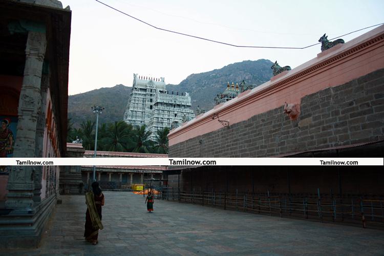 Tiruvannamalai temple photo 7