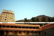 Tiruvannamalai temple photo 9