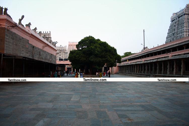 Tiruvannamalai temple pictures 1