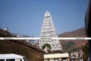 Tiruvannamalai temple pictures 12