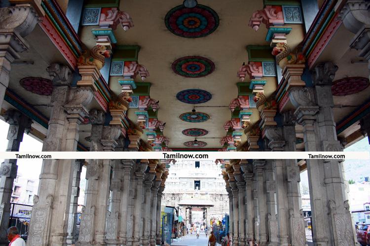 Tiruvannamalai temple pictures 8