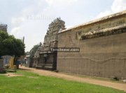 Thiruvatriyur temple photos 8