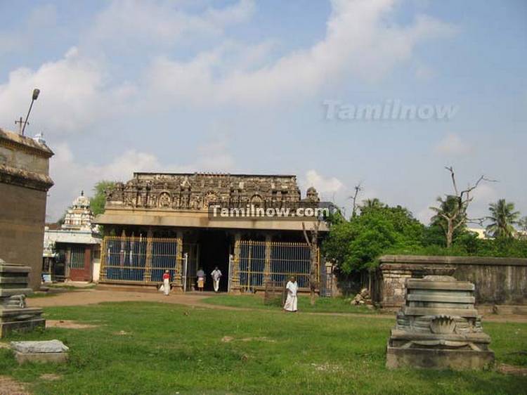 Thiruvatriyur temple photos 9