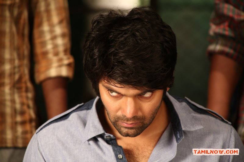 Actor Arya Photos 167