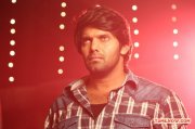 Arya 2459