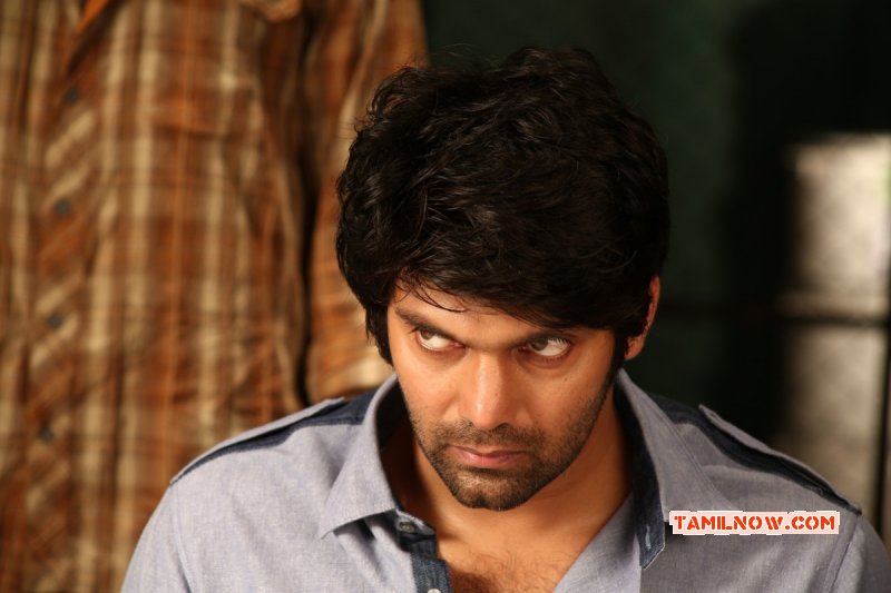 New Albums Tamil Star Arya 1835