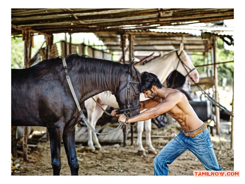 Actor Atharva Stills 2809