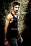 Actor Dhanush 6964