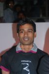 Actor Dhanush 8724