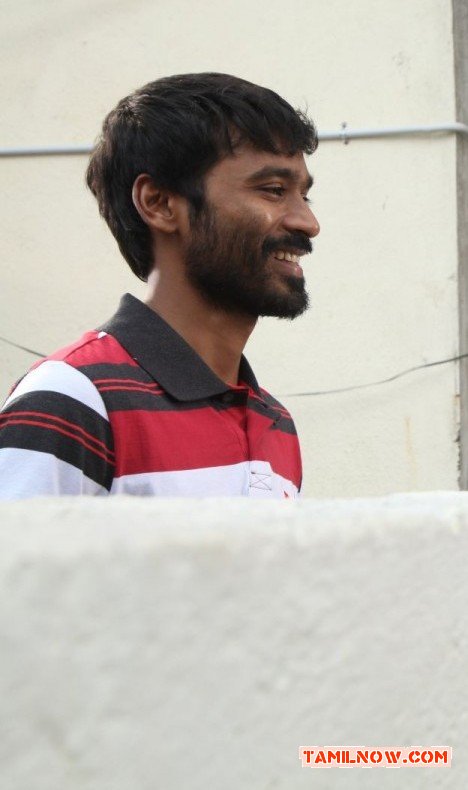 Dhanush 7997