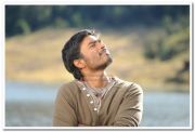 Dhanush Photo 17