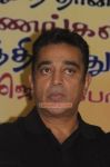 Kamal Haasan 3728