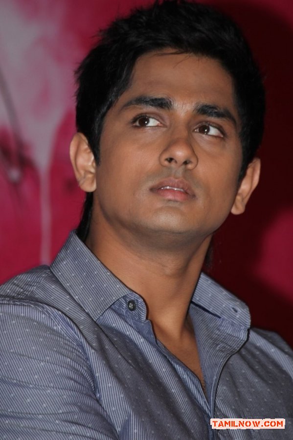 Actor Siddharth 7841