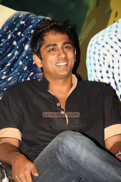 Actor Siddharth 8271