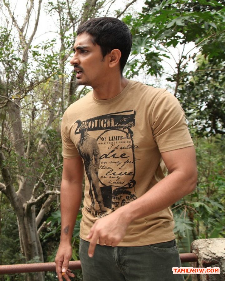 Siddharth Stills 1101