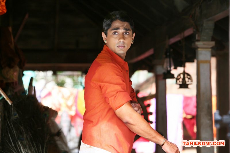 Tamil Actor Siddharth 4075