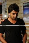 Silambarasan New Still 7