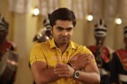 Tamil Actor Silambarasan New Pic 329