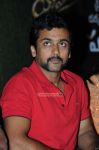 Actor Surya Photos 3503