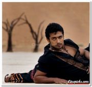 Surya Photo 01