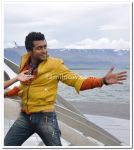 Surya Photo 17