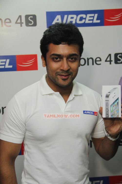 Surya Photos 7342