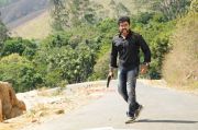 Tamil Actor Surya 5953