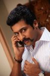Tamil Actor Surya 749