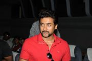 Tamil Actor Surya Photos 2485