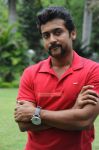 Tamil Actor Surya Photos 4520