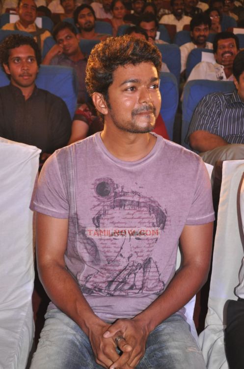 Actor Vijay 7784