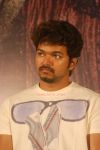 Actor Vijay 8955