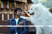 Actor Vijay Photos 03