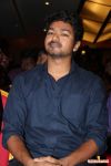 Actor Vijay Stills 9074