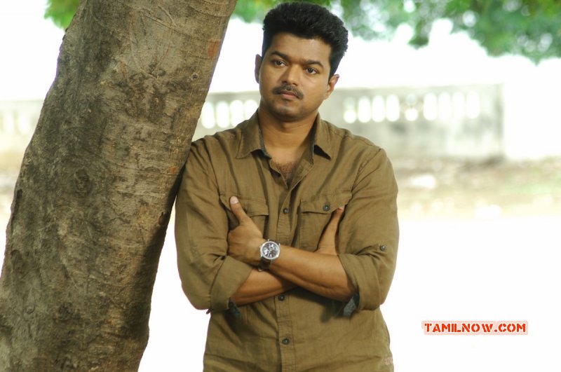 Latest Gallery Tamil Actor Vijay 3283