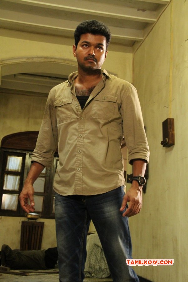 New Images Tamil Star Vijay 5072