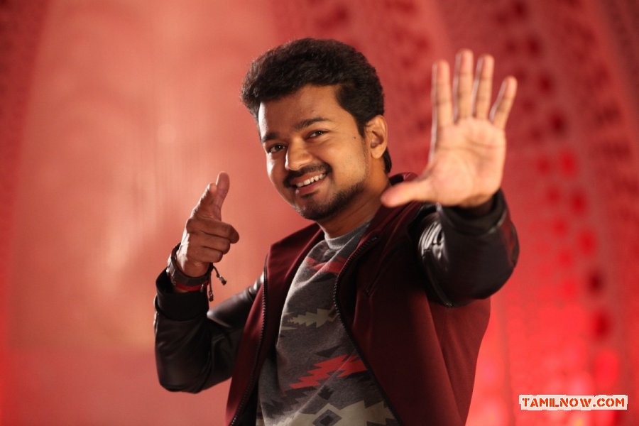 Tamil Actor Vijay 7533