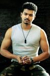 Tamil Actor Vijay Stills 8560