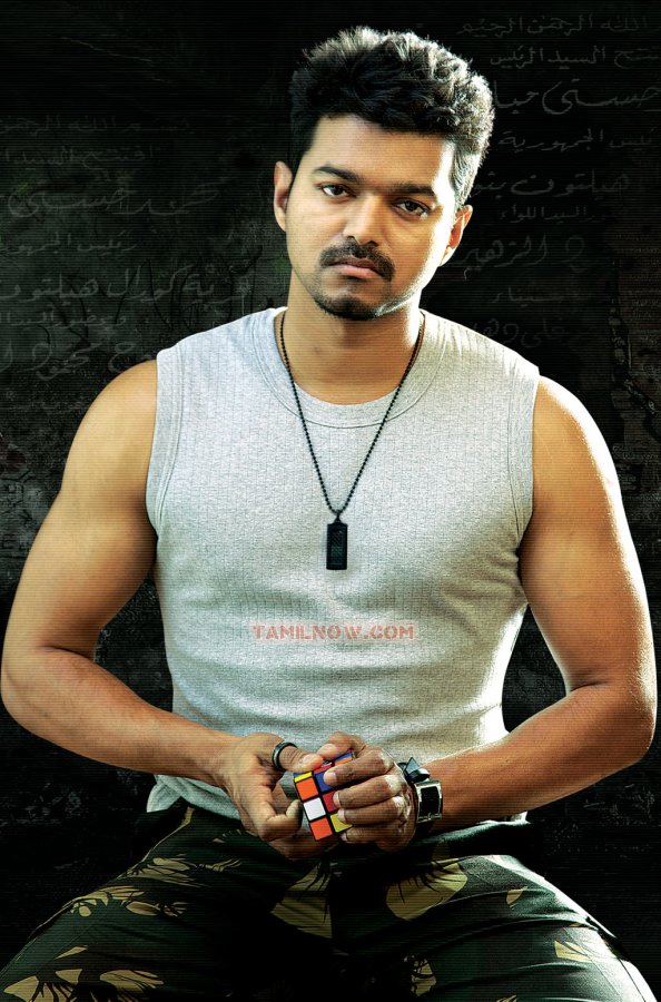 Tamil Actor Vijay Stills 8560