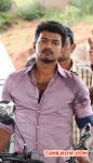 Vijay 240