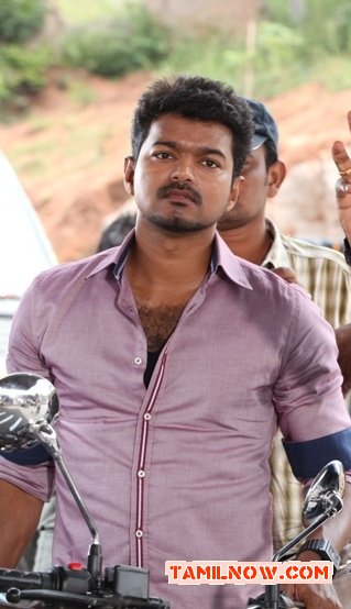 Vijay 240