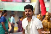 Vijay 4861