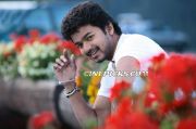 Vijay Photo 1