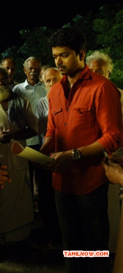 Vijay Tamil Actor New Pics 8707